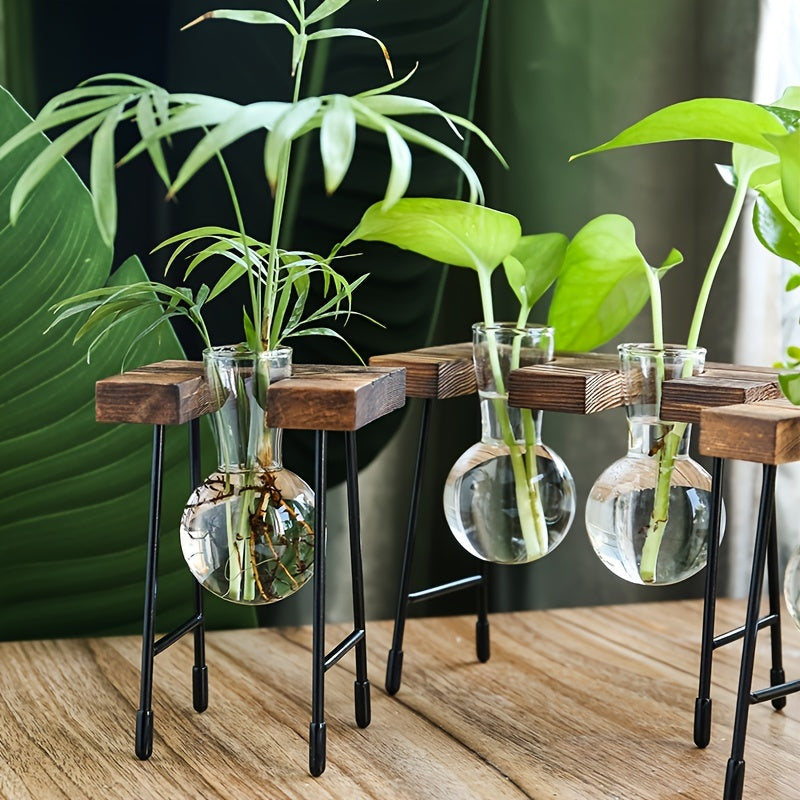 Visconte | Glazen Vaas | Transparant glas, hydroponisch ontwerp, decoratieve bloemenvaas voor woonkamer en bureau