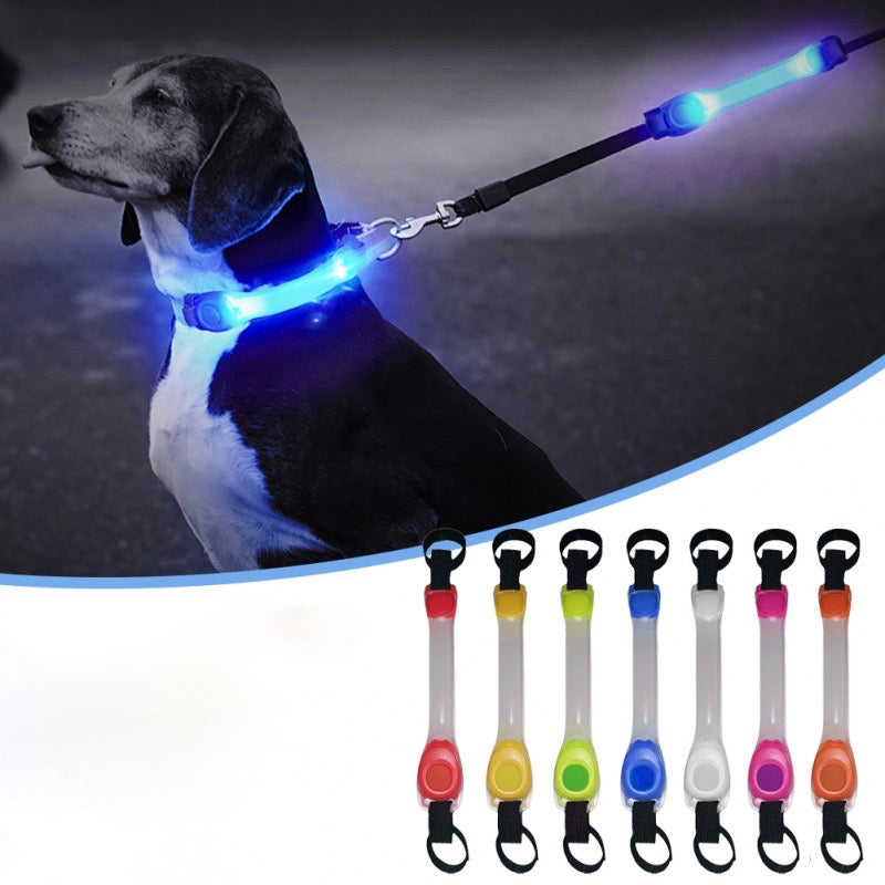 Lichtgevende Honden Halsband LED Veiligheid