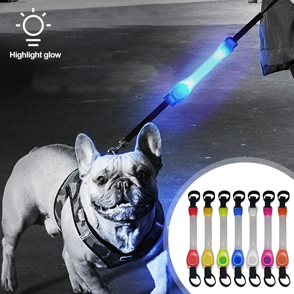 Lichtgevende Honden Halsband LED Veiligheid