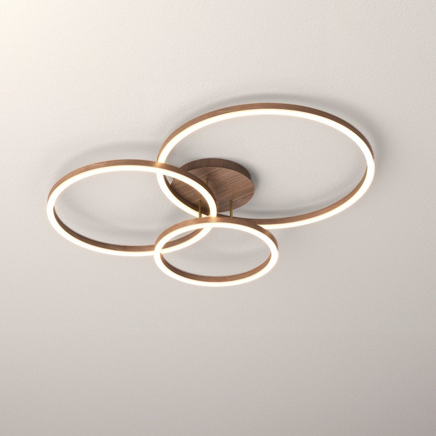 RingLuma | Energiezuinige LED plafondlamp | Elegant ringontwerp | Modern design | IJzer en acryl | AC 90-260V | Diverse afmetingen | Verfijnde sfeer voor elke kamer